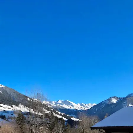 Bergliebe Apartman Alpbach