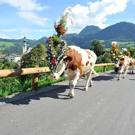 Bergliebe Apartamento *