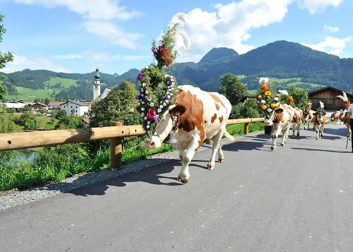 Bergliebe Appartement *